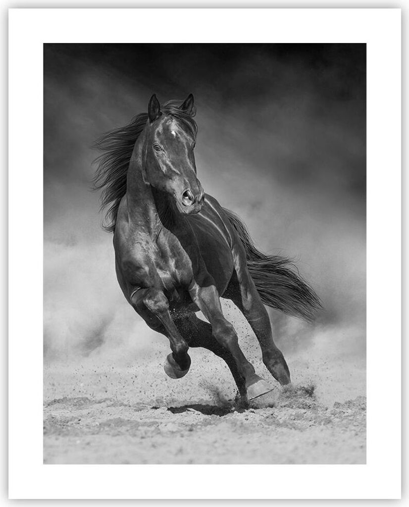 Poster - Poster ohne Rahmen - Pferd Galopp dynamisch - 40x50 cm - Wand Bild - Wanddeko - Wandbilder - Kunstposter - Wandposter - Bilder - Kunstdruc...