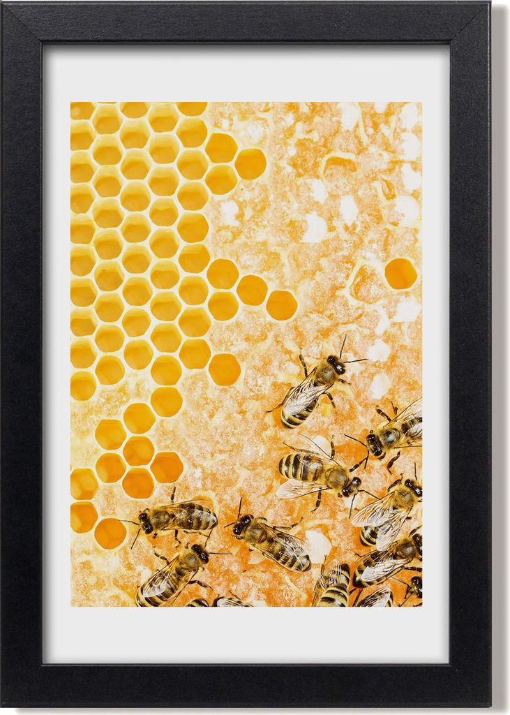Bild 20x30 MDF-Rahmen, Wandkunst Arbeitsbienen