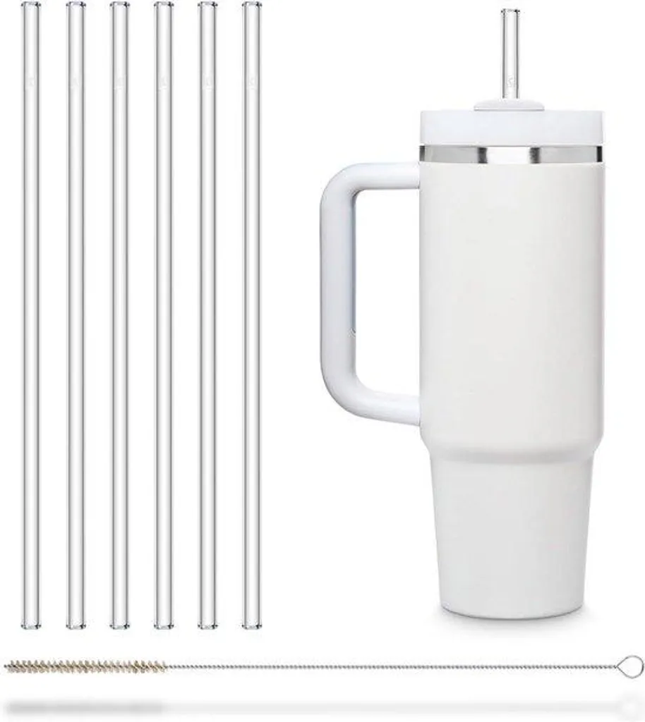 Pailles en verre droites de 27 cm - Lot de 6 avec brosse de nettoyage