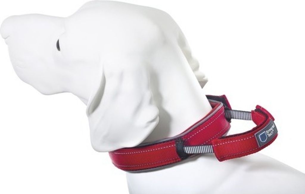 Dog Control Halsband L rot Produktbild 
