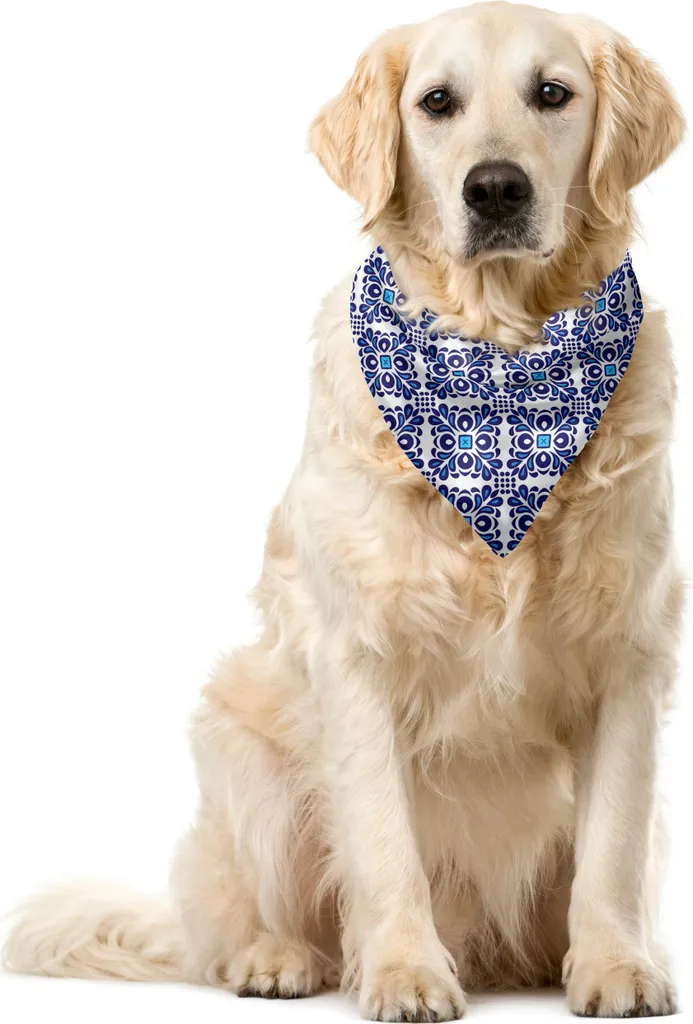 ABAKUHAUS Bandana Cane e Gatto 55x55 cm - Design Orientale Viola Blu