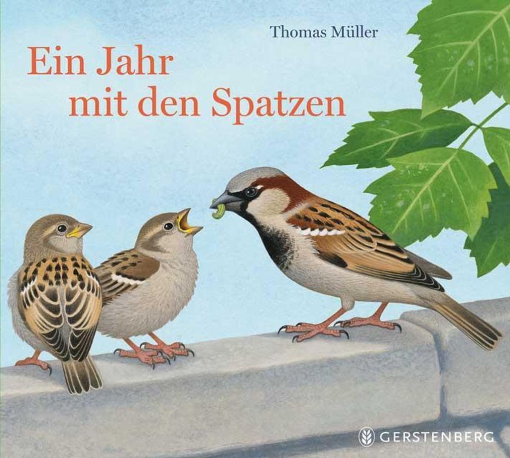 Ein Jahr mit den Spatzen