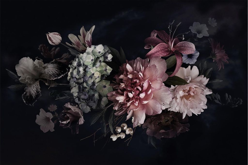 Fototapete Blumen - Vliestapete - Bildtapete UV-beständig Rose schwarz Vintage Wandtapete geruchsfrei