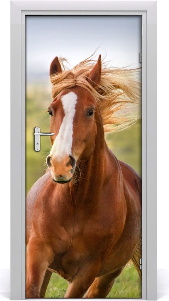 Tulup Türaufkleber 85x205 cm Dekorative Aufkleber Selbstklebend Wasserdichte Tapete Abnehmbar Schlafzimmer Wohnzimmer Wohnkultur - Ein Pferd im Ga...