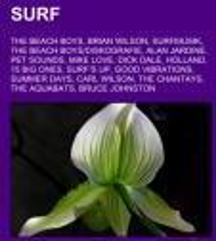 Surf