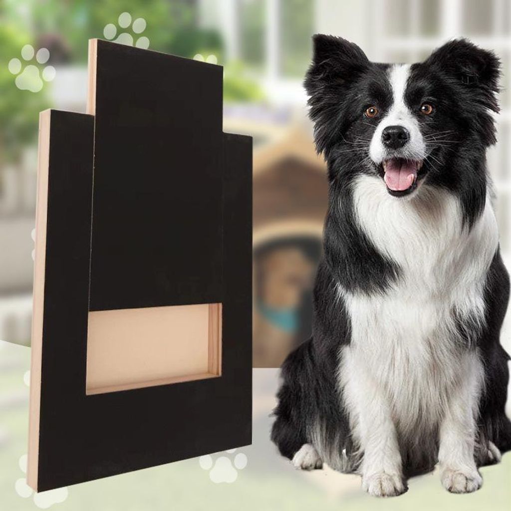 Hundekratzbrett für die Krallenpflege – Multifunktional, Produktbild 