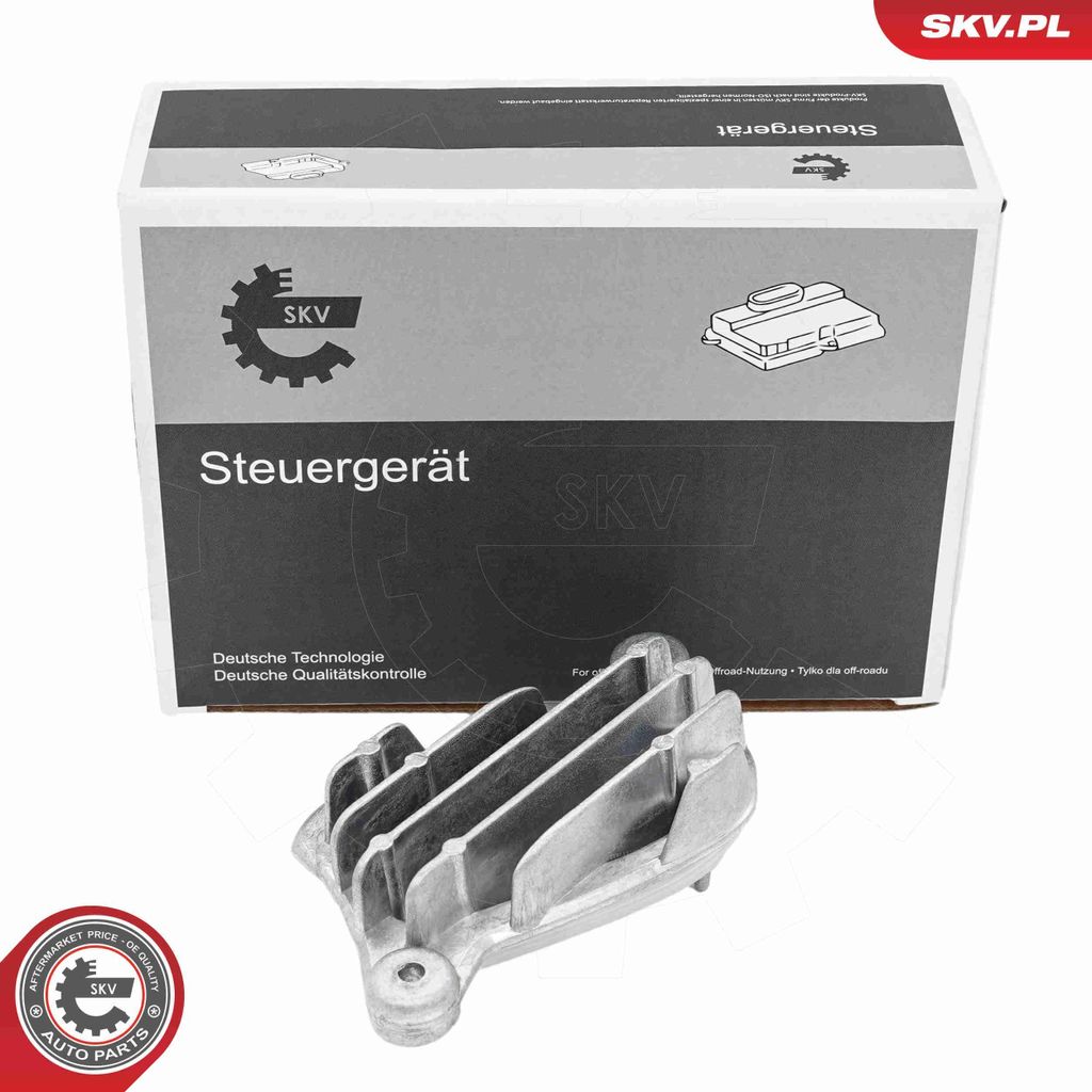 ESEN SKV Scheinwerfer-Steuergerät Steuergerät 59SKV301 Rechts für BMW 1 Schrägheck (F40)