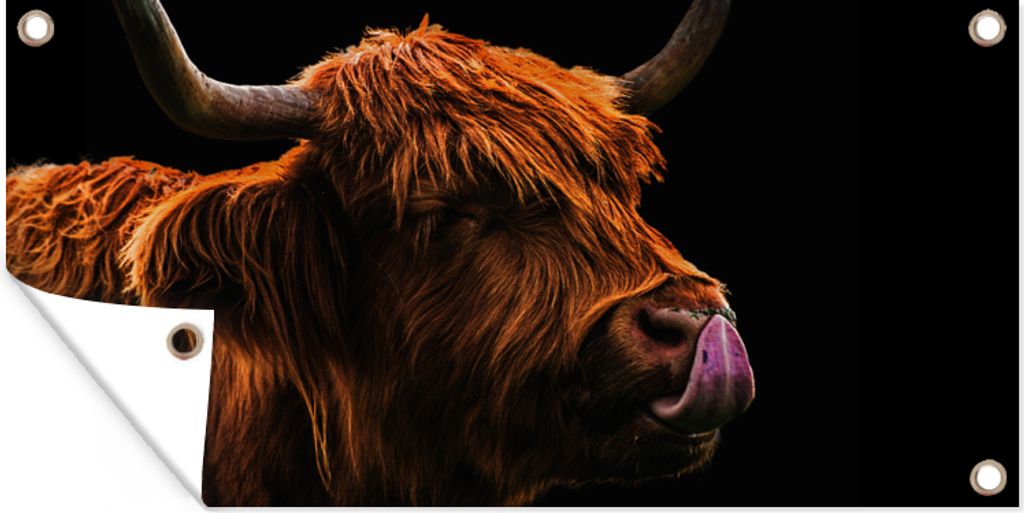 MuchoWow 160x80 cm Outdoor-Poster Gartendeko Sichtschutz Garten Poster für den Garten Schottischer Highlander - Zunge - Nase