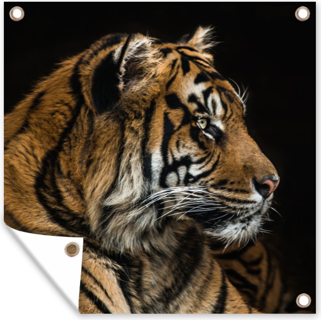 MuchoWow 100x100 cm Outdoor-Poster Gartendeko Sichtschutz Garten Poster für den Garten Tiger - Tierkopf - Schwarz
