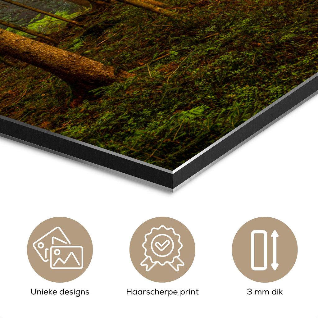 MuchoWow Wanddekoration Metall Metallbild Wandkunst 150x100 cm Wald - Natur - Bäume - Landschaft - Laub MuchoWow Aluminium Gemälde - Alu Dibond Bild