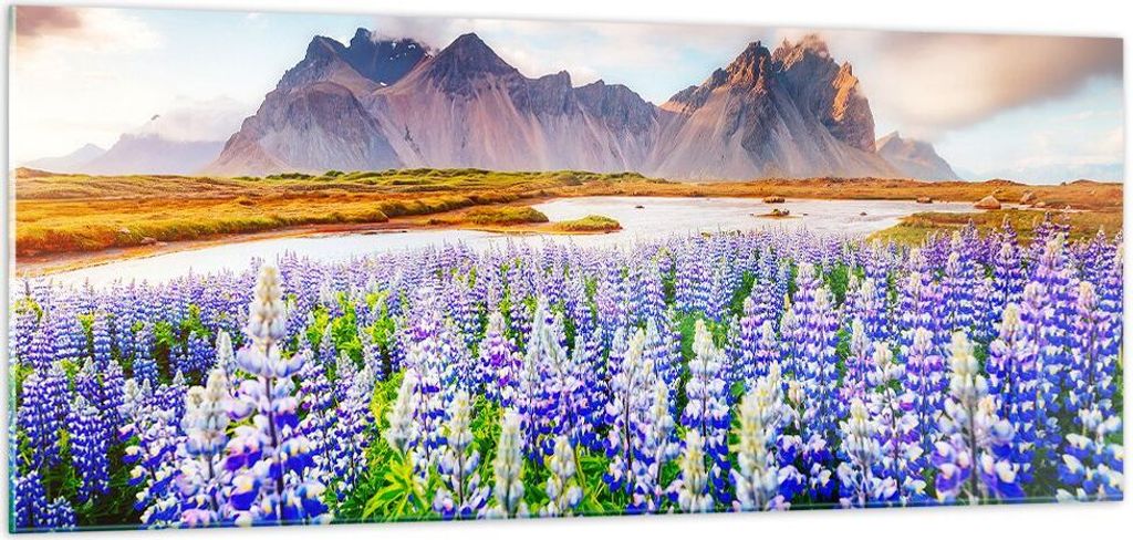 Bilder auf glas - Berge Wiese Blumen - 100x40cm - Glasbilder - Wandbilder - Kunstdruck - zum Aufhängen bereit - Wanddekoration aus Glas - Glas Bil...
