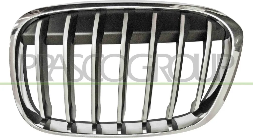 Grille de calandre robuste pour X1 F48 - Fixation facile OE 51117383365