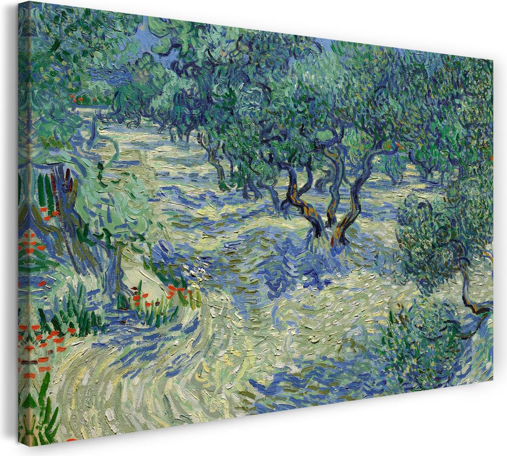 Leinwandbild (120x80cm): Vincent van Gogh - Oliven-Feld, echter Holz-Keilrahmen inkl. Aufhänger, handgefertigt in Deutschland