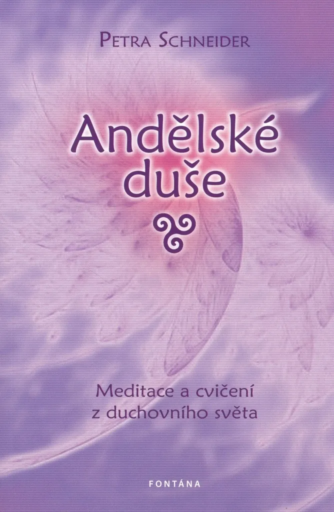 Méditation Âmes Angéliques de Petra Schneider Livre de Guidance Spirituelle