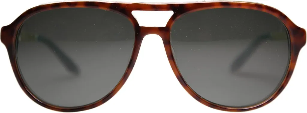 Lunettes de soleil Robinson 4701-10 : Monture élégante pour homme et femme