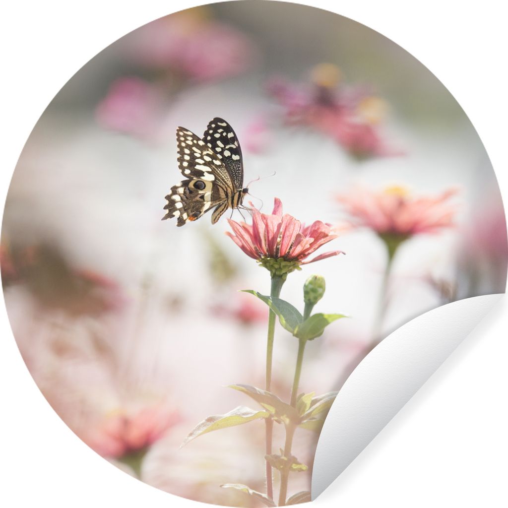 MuchoWow Runde Wandtattoo - Wandsticker Tapete Aufkleber Schmetterling - Blume - Rosa Ø 50 cm Selbstklebend und Repositionierbar - Wandaufkleber...