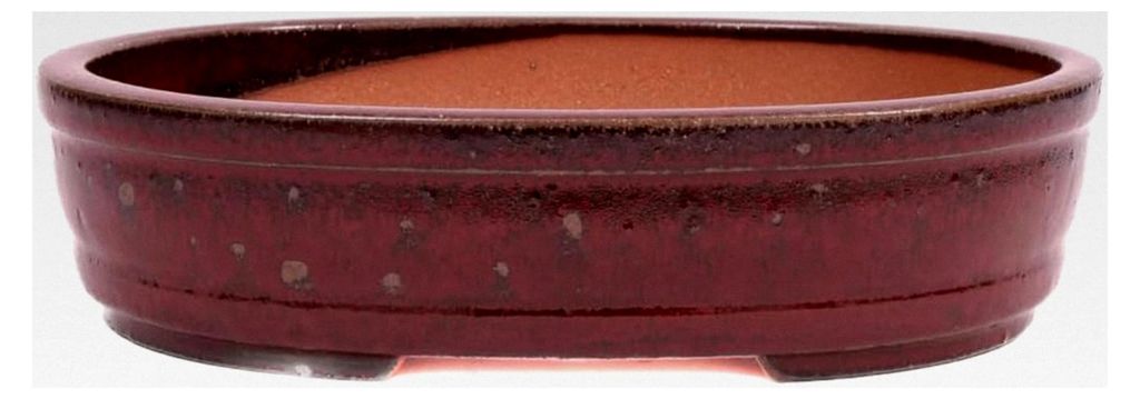 Bonsai - Ovale Schale 30,5 x 24 x 7,5 cm Bordeaux frostfest