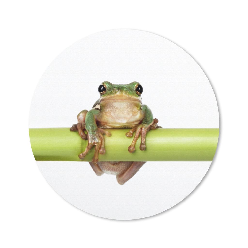 MuchoWow Mauspad Mousepad Frosch - Bambus - Weiß 20x20 cm - Mousepads - Maus Mat - Pad - Mausunterlage - Schreibtischmatte