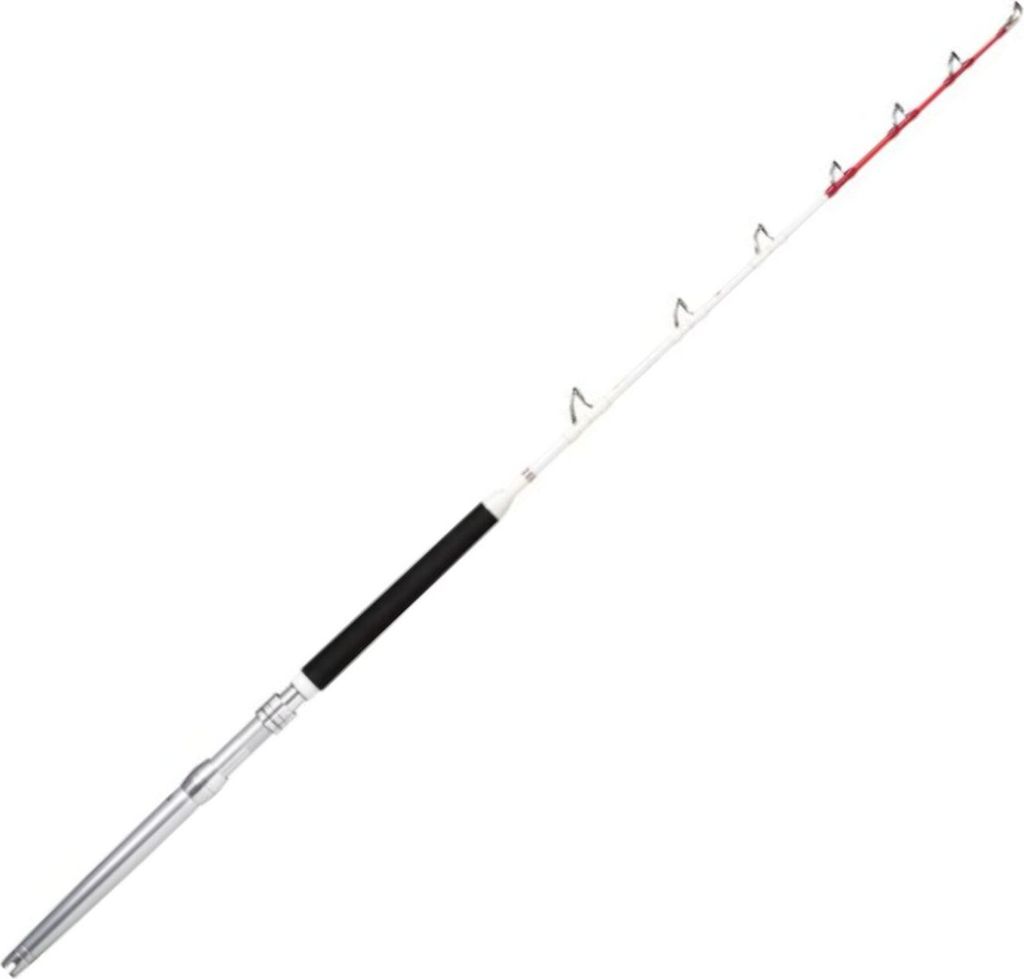 Rapala Magnum Rh 5'8 2P 173cm 20-30lbs - Bootsrute