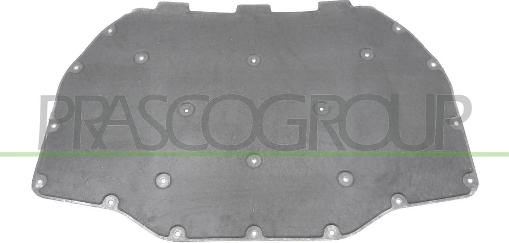 PRASCO BM5001945 Motorraumdämmung für BMW 5 GT (F07) Motorhaube Motorhaubendämmung