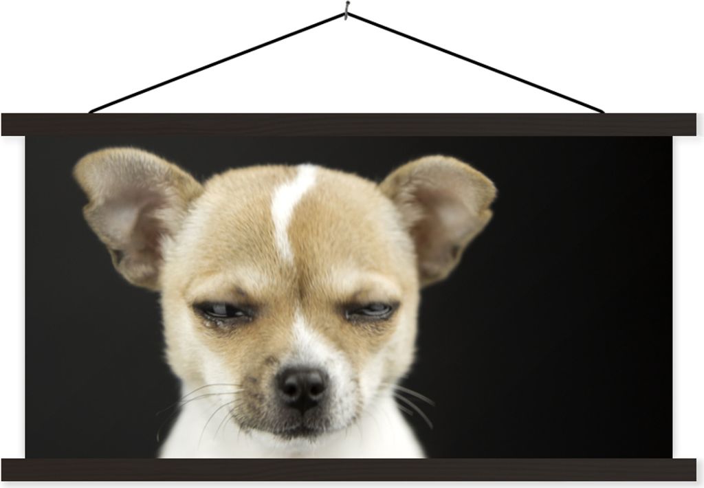 MuchoWow Textilposter Hund - Haustiere - Porträt 60x30 cm mit schwarzem Rahmen - Textilien