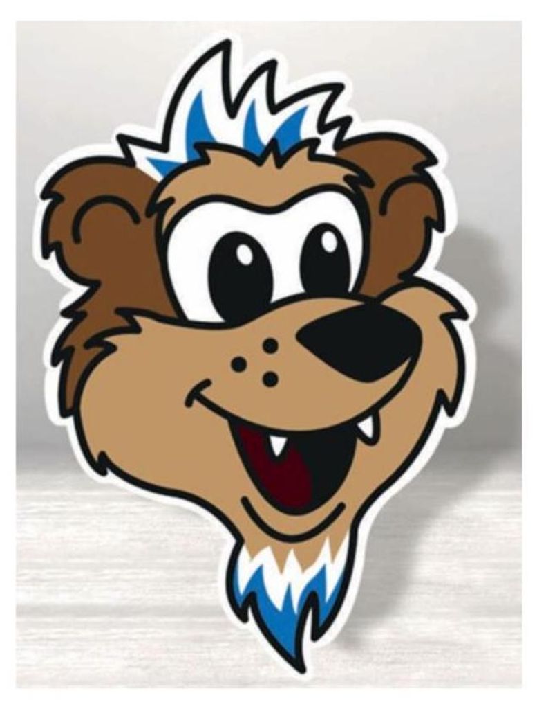 Hertha BSC Formkissen Herthinho Produktbild 