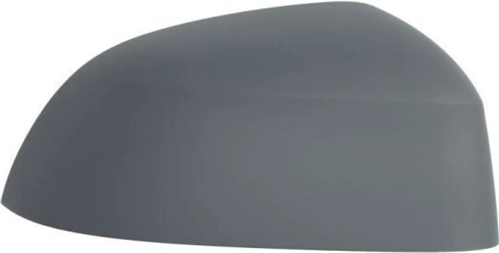 Boîtier rétroviseur droit BLIC 6103-05-2001060P pour BMW X3 X4 X5 X6