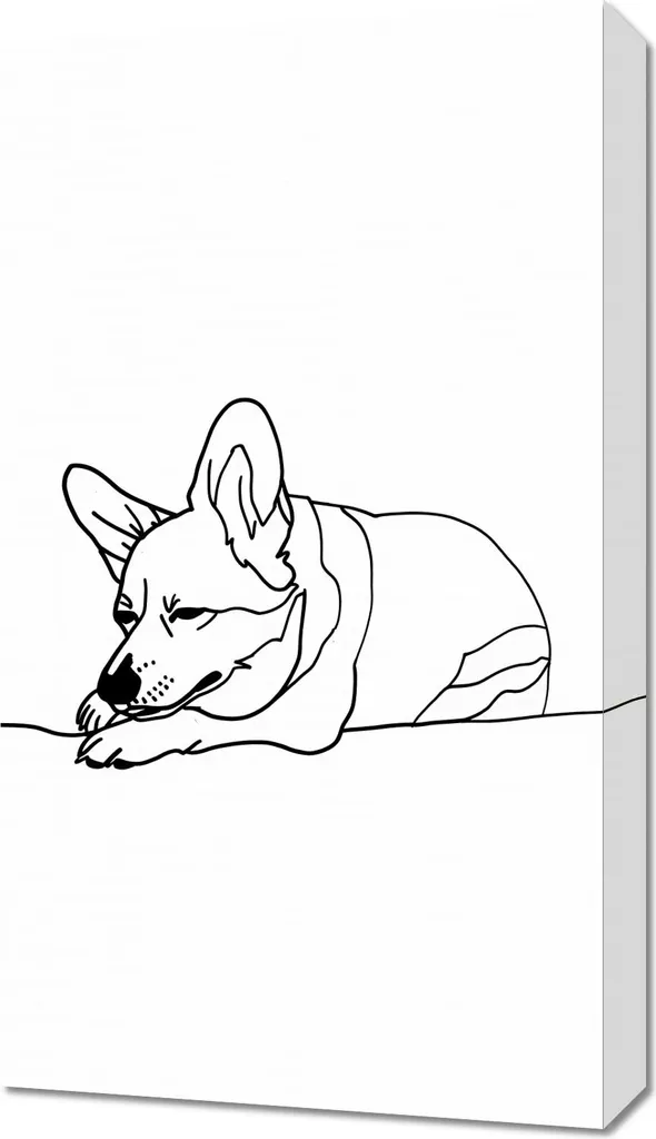 Quadro 40x70 cm Corgach addormentato