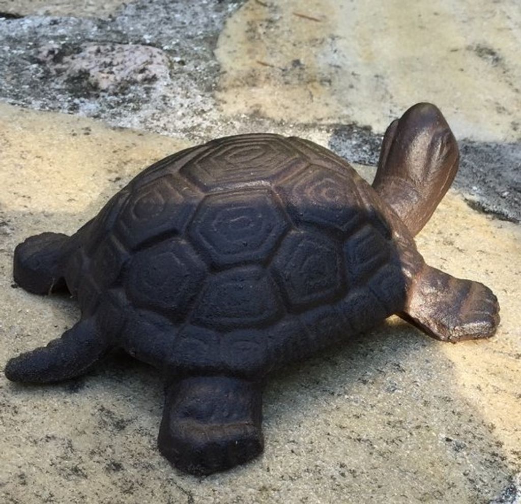 BEST SPORTING Schaufel Schildkröte – Große Kinderschaufel, 74 Cm, Aus Kunststoff Und Holz, In Lila Und Anderen Farben