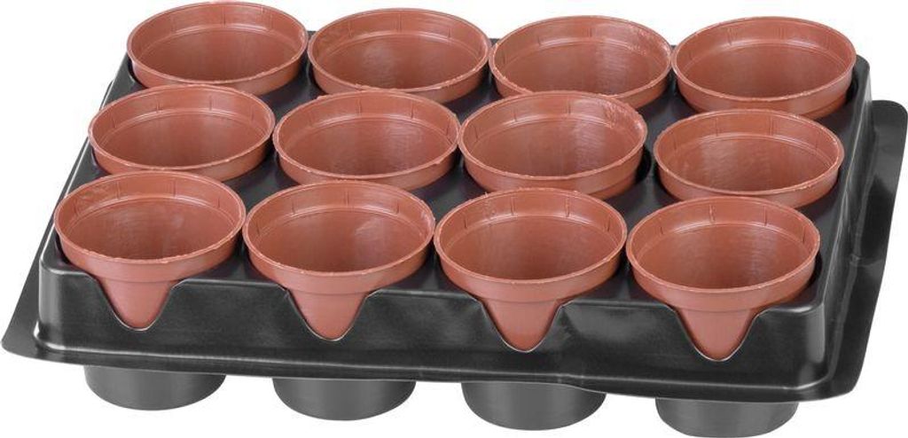 Mini-Gewächshaus Strend Pro, 12 Stk., Set, 24x18x6 cm