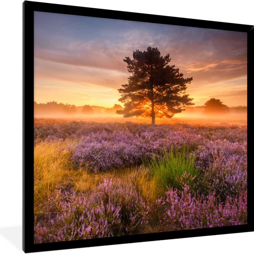 MuchoWow Gerahmtes Poster Heidelandschaft mit einem Baum 40x40 cm - Poster mit Schwarzem Bilderrahmen Wandposter Rahmen Foto Bilder - Mit Rahmen ...