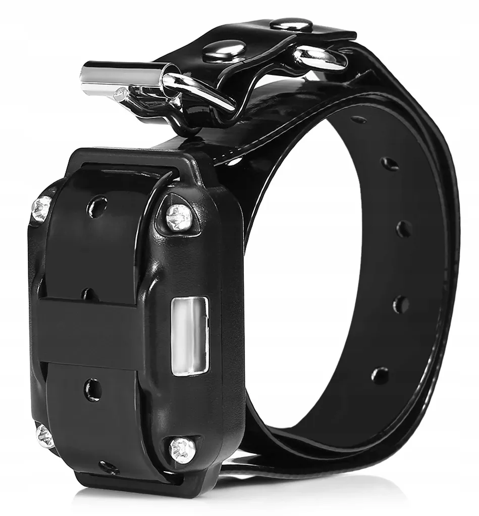 Collier d'éducation pour chien avec télécommande portée 800m et LED OMNA