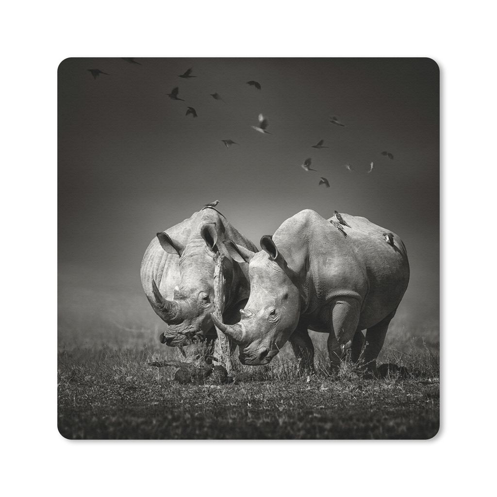 MuchoWow Mauspad Mousepad Nashorn - Vogel - Tiere - Landschaft - Schwarz-Weiß 20x20 cm - Mousepads - Maus Mat - Pad - Mausunterlage - Desk Mat -...