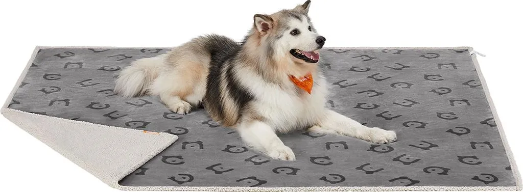 Couverture canapé pour chien XXL - Protection idéale pour les humains