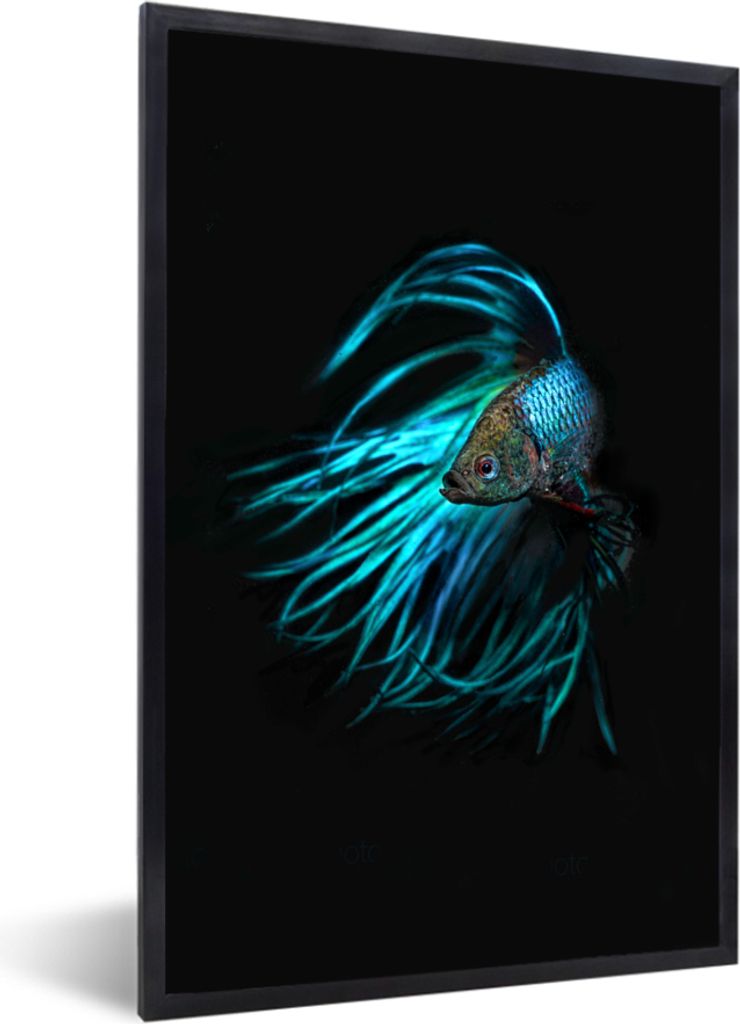 MuchoWow MuchoWow Gerahmtes Poster Fisch - Schwanz - Schwarz 60x90 cm - Poster mit zchwarzem Bilderrahmen - Kunst