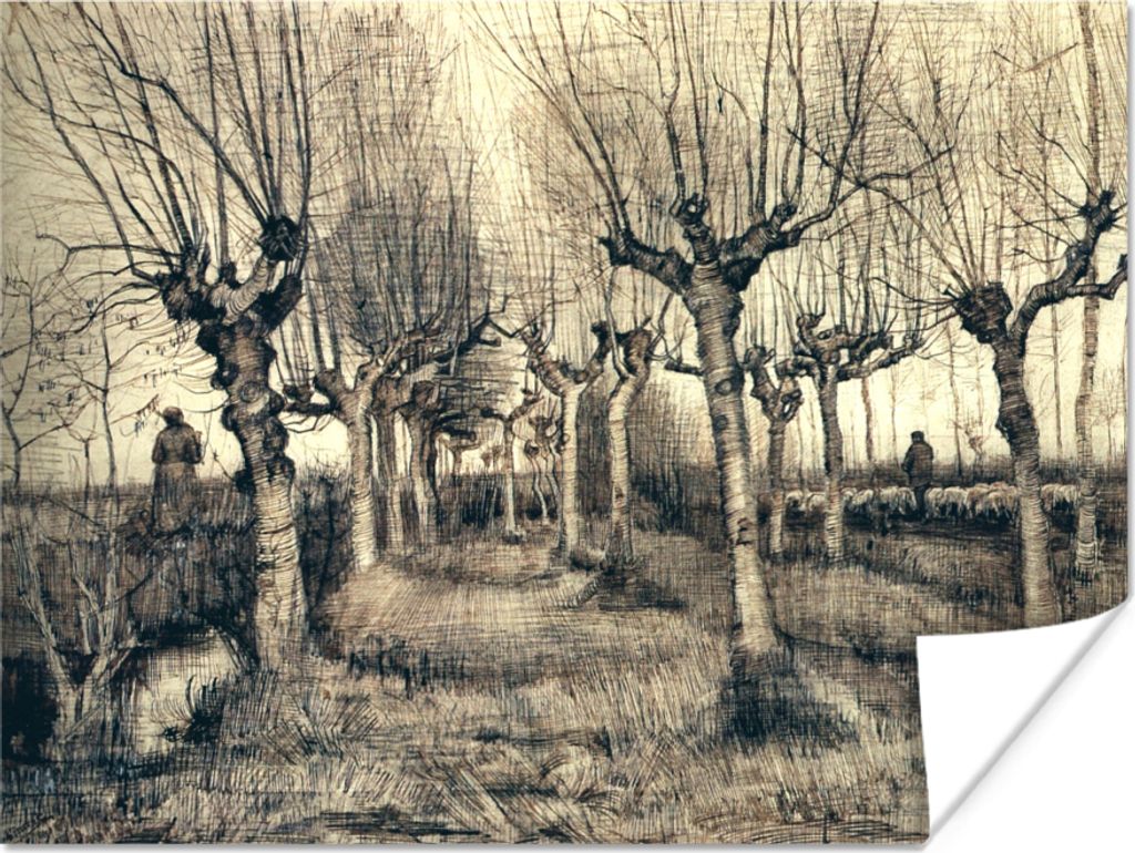 MuchoWow Poster Pollard-Birken - Vincent van Gogh 160x120 cm - Foto Plakat