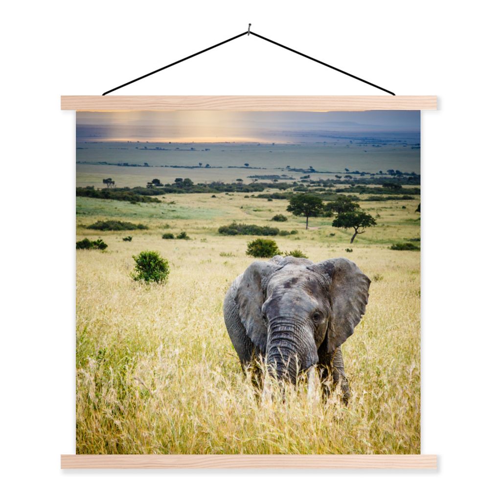 MuchoWow Textilposter Elefant - Tiere - Landschaft - Sonne - Natur 60x60 cm mit holzfarbenen Rahmen - Wanddekoration