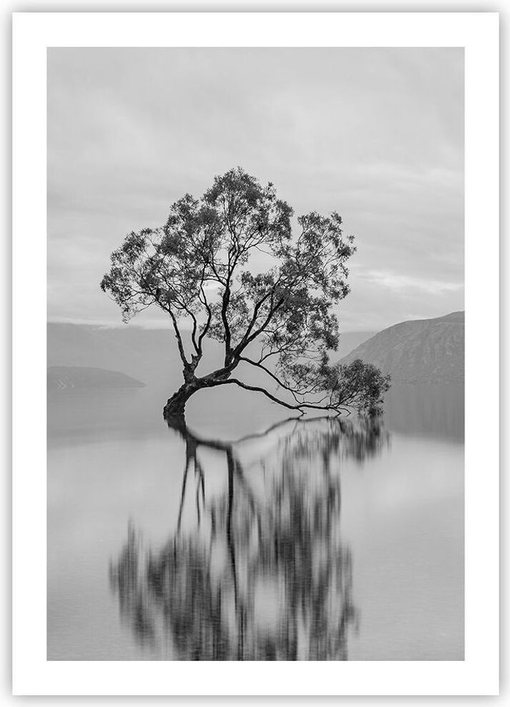 Poster - Poster ohne Rahmen - Baum Symmetrie See - 50x70 cm - Wand Bild - Wanddeko - Wandbilder - Kunstposter - Wandposter - Bilder - Kunstdruck - ...