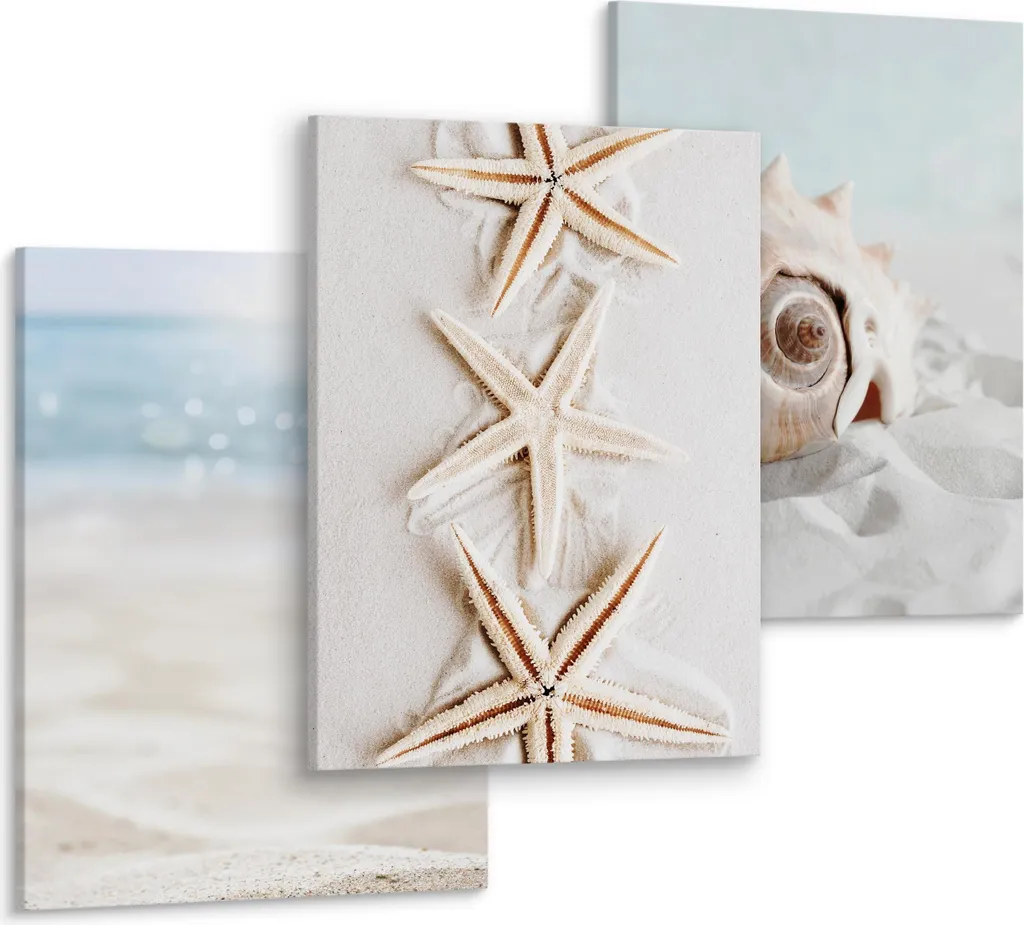 Quadri Mare e Stelle Marine Muralo - Set 3 Tele 30x40cm 3D