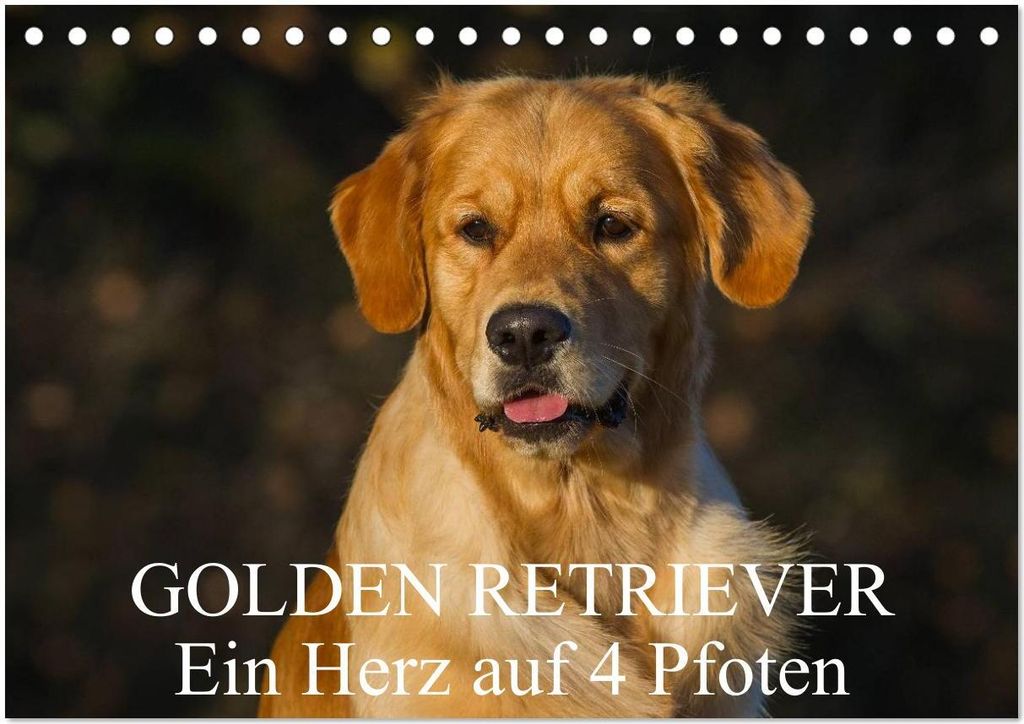 Golden Retriever - Ein Herz auf 4 Pfoten (Tischkalender 2026 DIN A5 quer), CALVENDO Monatskalender