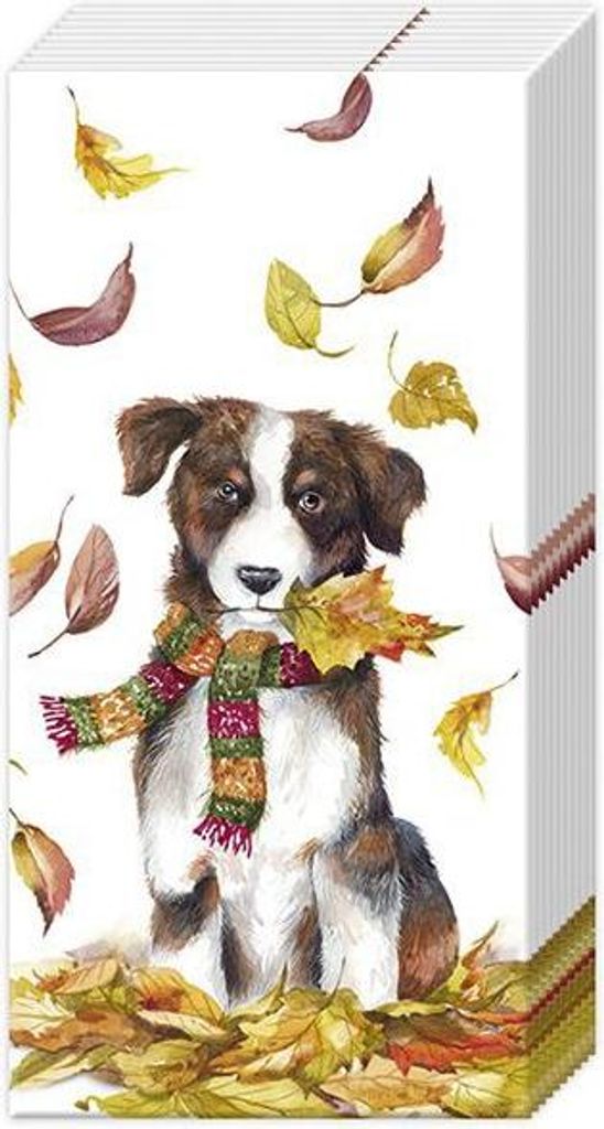 Taschentücher - DOG HAVING FUN