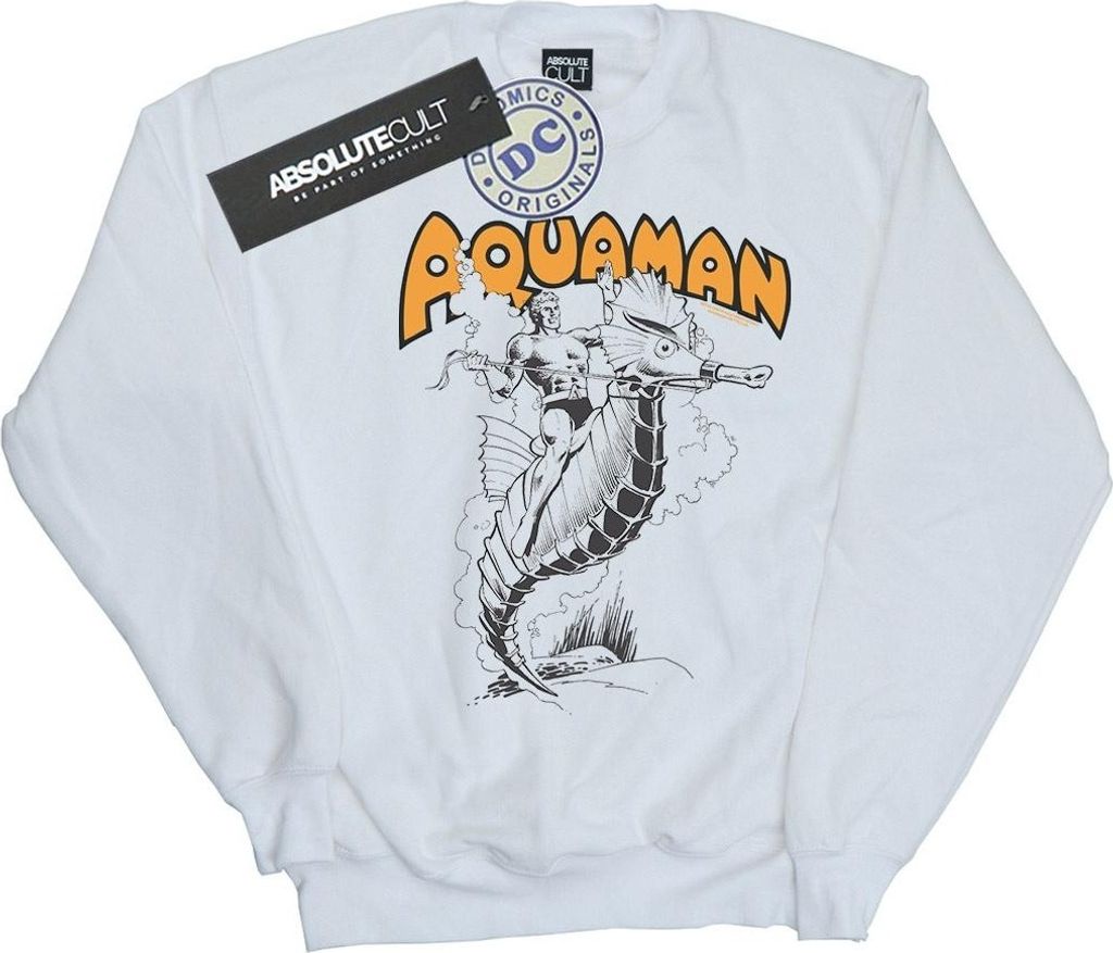DC Comics - Sweatshirt für Herren BI20131 (XXL) (Weiß)