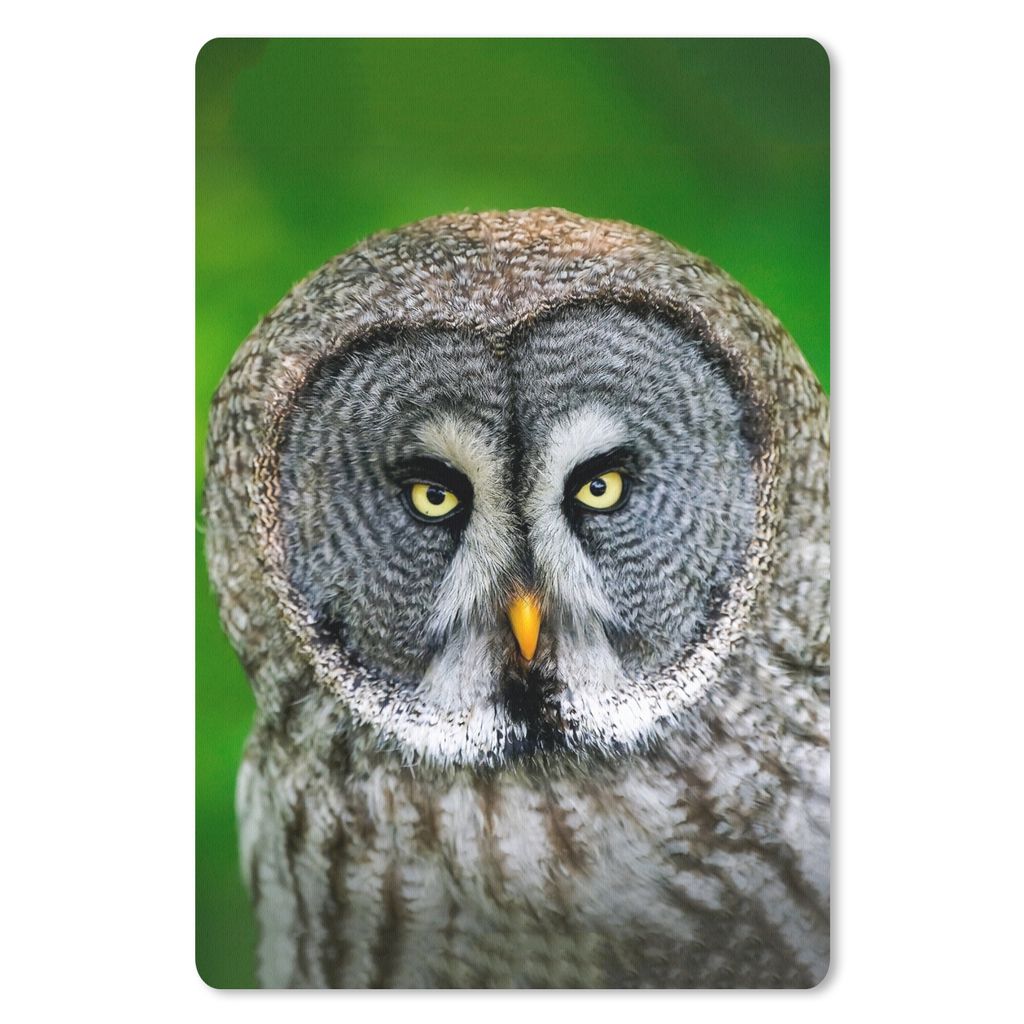 MuchoWow Mauspad Mousepad Vogel - Eule - Tiere - Braun - Porträt 40x60 cm - Mousepads - Maus Mat - Pad - Mausunterlage - Schreibtisch Accesoire