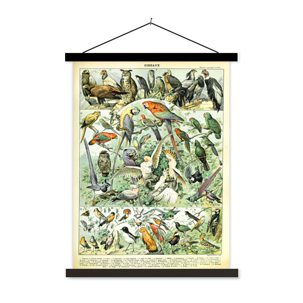 MuchoWow Textilposter Tiere - Vintage - Adolphe Millot - Vögel - Design 60x80 cm mit schwarzem Rahmen - Plakathalter