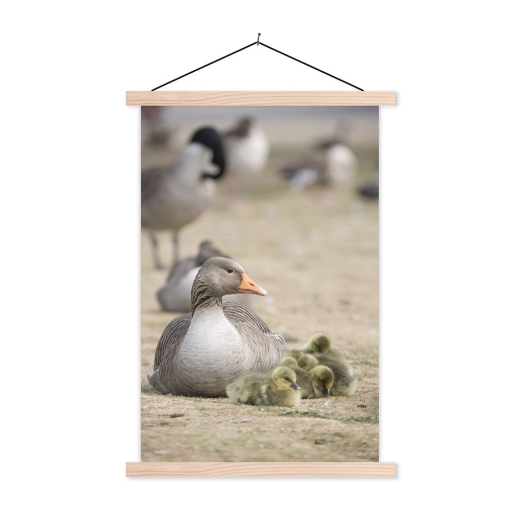 MuchoWow Textilposter Gans - Familie - Küken 60x90 cm mit holzfarbenen Rahmen - Textil