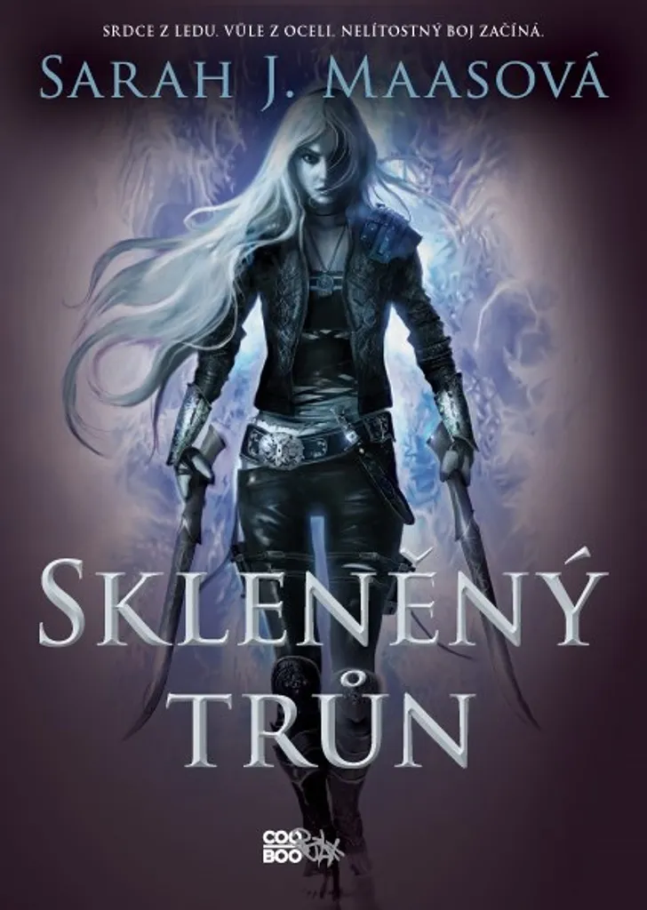 Idée Cadeau Lecture Fantasy Keleana Sarah J. Maas Premier Tome Incontournable