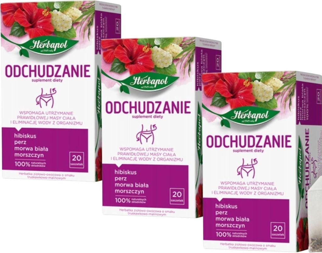 Herbapol Abnehmtee 60 Teebeutel - Abnehmen Tee Kräutertee Komplex mit L-Carnitin