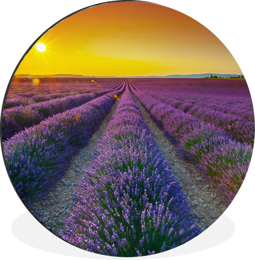 MuchoWow Aluminium Wandkreis Oranger Sonnenuntergang über einem Feld voller Lavendel Ø 60 cm Wanddeko Modern Wohnzimmer - Wand Kreis - Wandbild...