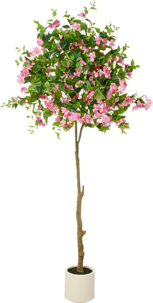 Kunstpflanze Bougainvillea Hochstamm H 240 cm
