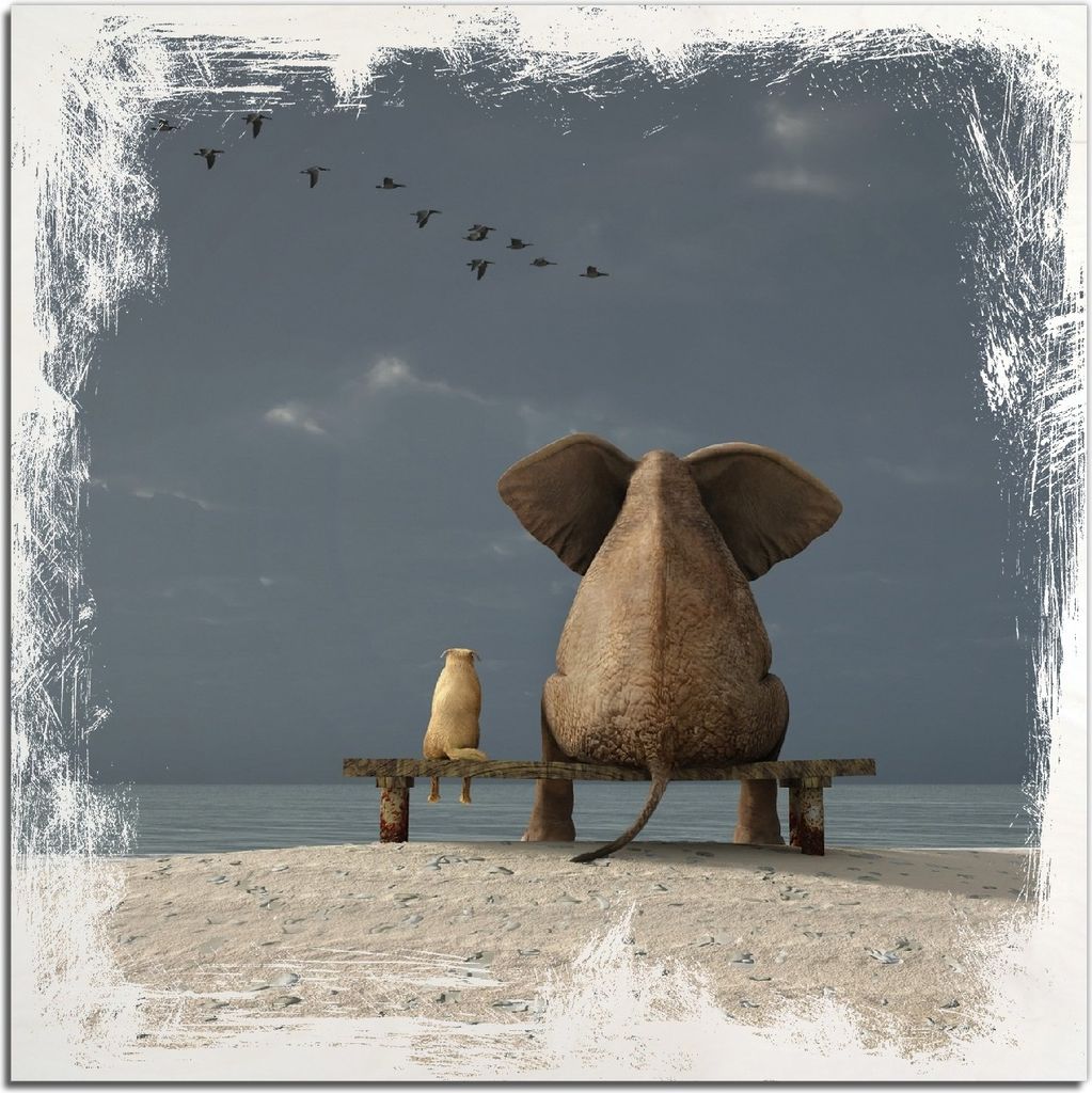 Kunstdrucke Wandbilder Holz in : Brillante Farben, Größe 50 x 50 cm Motiv Elefant und Hund sitzen auf einer Bank
